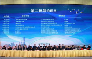 第十二屆丹頂鶴文化藝術節暨經貿洽談會盛大開幕，推動縣域經濟文化融合發展