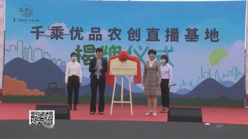 呂藝鎮啟動紅色高家渡文化旅游暨萬壽菊賞花活動，以花為媒深化文化藝術交流